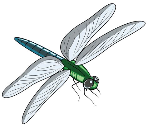 dragonfly cartoon images|dragonflies images clip art.